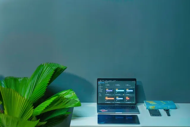 Sleek office desk setup featuring a laptop, tropical plant, and book in a modern design. Best campaign management tools 2027: guide and criteria