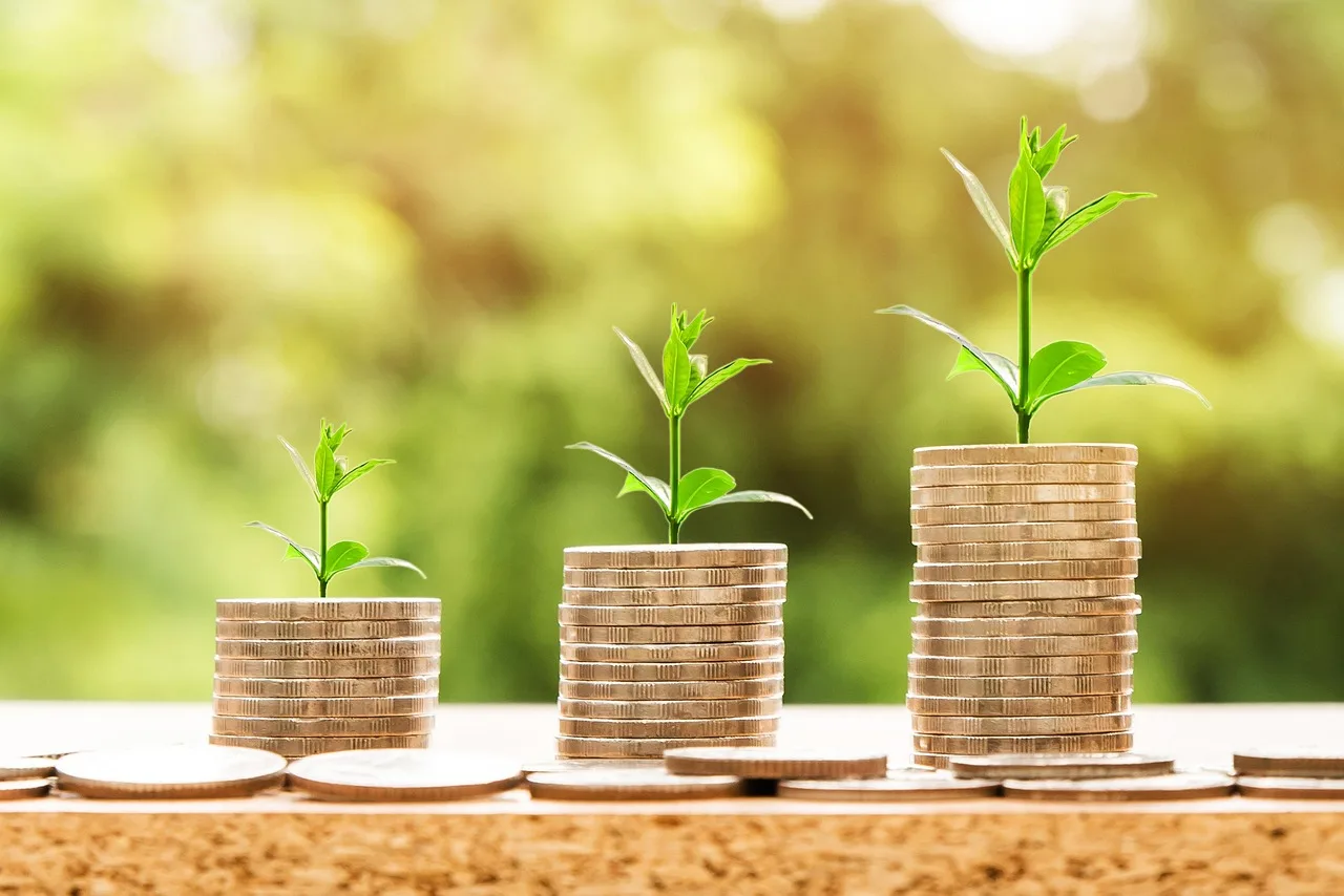 money, profit, finance, business, return, yield, financial, cash, currency, investment, banking, wealth, coin, economy, success, loan, salary, rich, credit, payment, savings, save, deposit, growth, income. Creator marketplaces: five questions to put to the terms