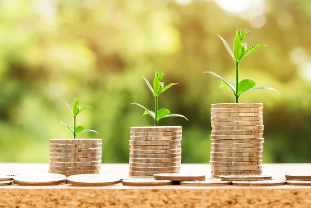 money, profit, finance, business, return, yield, financial, cash, currency, investment, banking, wealth, coin, economy, success, loan, salary, rich, credit, payment, savings, save, deposit, growth, income. Creator marketplaces: five questions to put to the terms