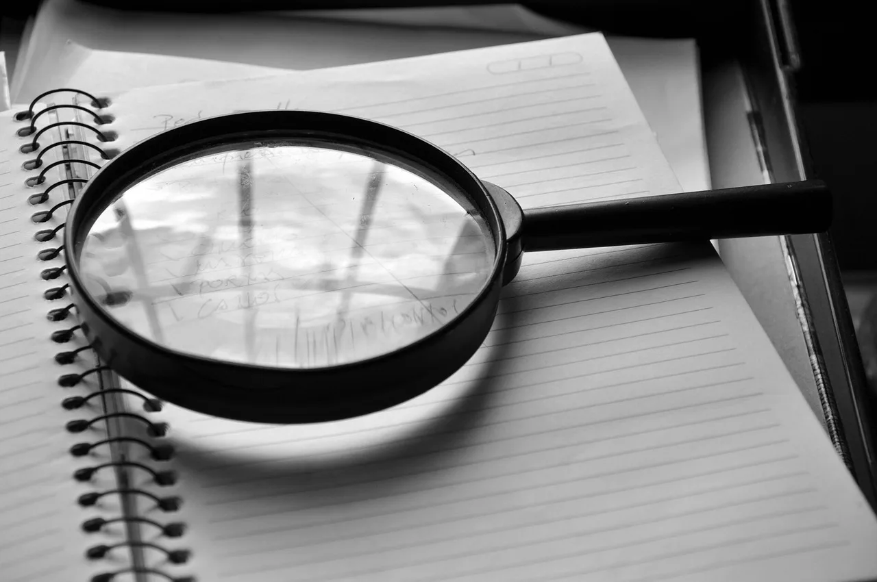 magnifying glass, journal, detail, job, the audit, magnifying glass, magnifying glass, magnifying glass, magnifying glass, magnifying glass. 6 points on choosing fraud detection tools