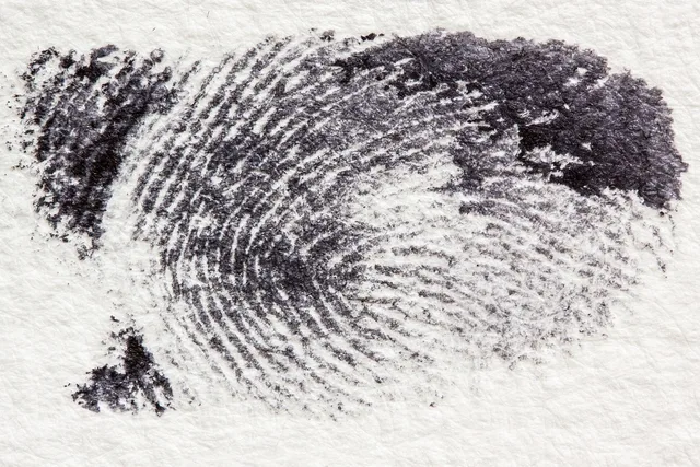 fingerprint, dactylogram, papillary ridges, fingertip, contact, crime, criminal law, detective, finger, security, ink, black, uniqueness, fingerprint, fingerprint, fingerprint, fingerprint, crime, crime, detective, detective, detective, detective, detective. 5 things about fraud detection tools trends worth your time